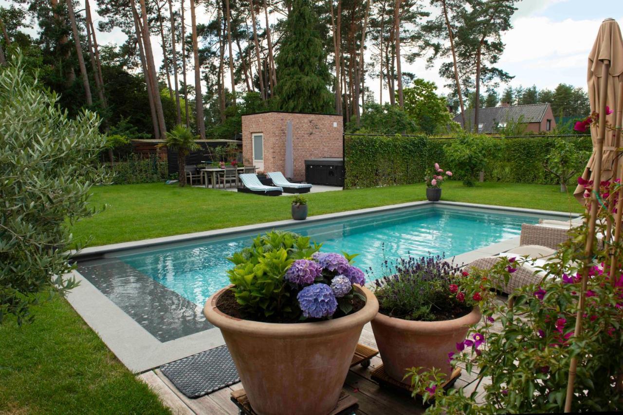 Studiobeerse Met Sauna Zwembad En Spa Apartment Exterior photo